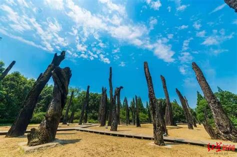 烏木|館長專欄｜成都烏木藝術博物館盧泓傑：為開啟古蜀文明「黑匣子 